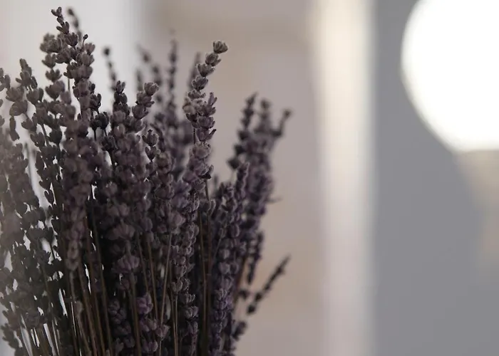 Pan Alacati * Çeşme